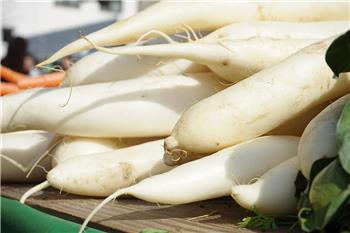 白蘿蔔
