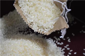 粳米