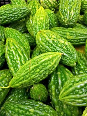 苦瓜(青皮)
